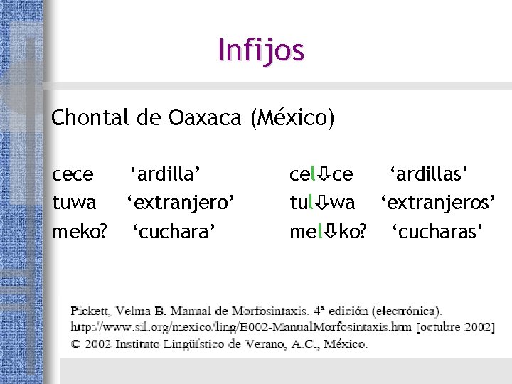 Infijos Chontal de Oaxaca (México) cece ‘ardilla’ tuwa ‘extranjero’ meko? ‘cuchara’ cel ce ‘ardillas’ Infijos Chontal de Oaxaca (México) cece ‘ardilla’ tuwa ‘extranjero’ meko? ‘cuchara’ cel ce ‘ardillas’