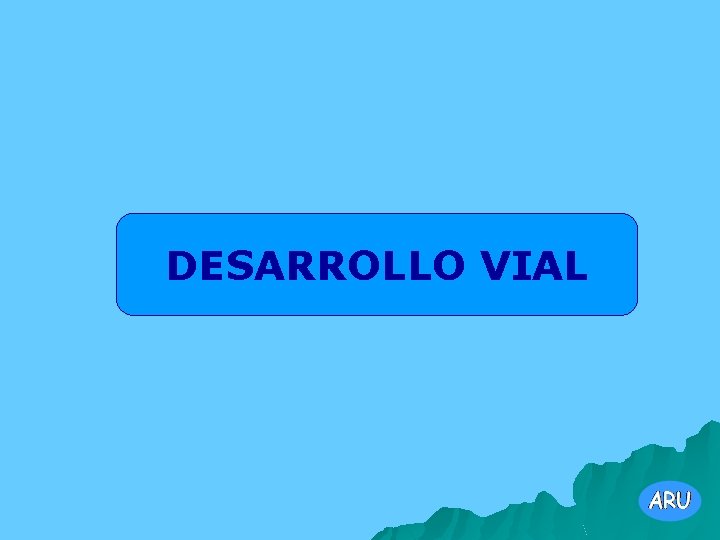 DESARROLLO VIAL 