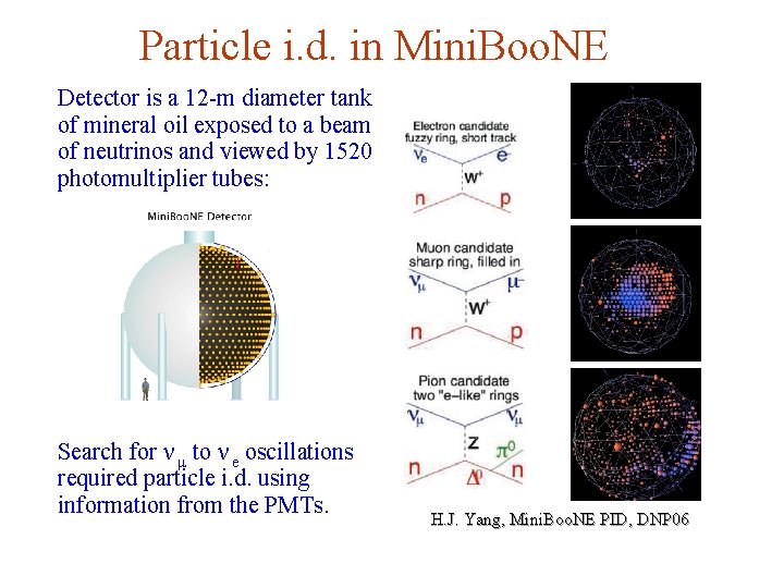 Particle i. d. in Mini. Boo. NE Detector is a 12 -m diameter tank