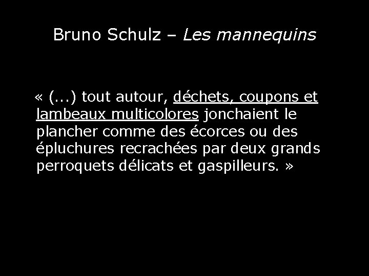 Bruno Schulz – Les mannequins « (. . . ) tout autour, déchets, coupons