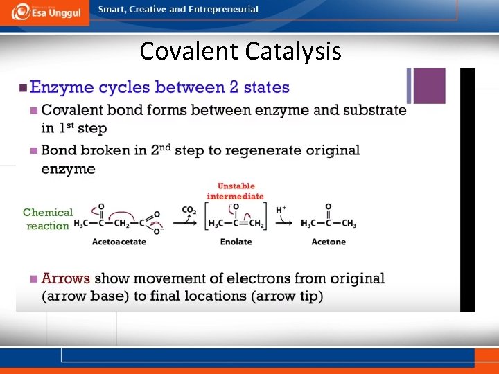 Covalent Catalysis 