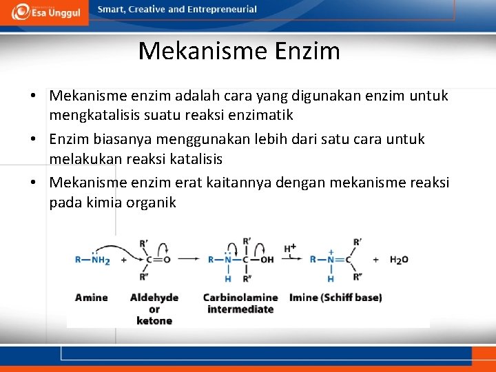 Mekanisme Enzim • Mekanisme enzim adalah cara yang digunakan enzim untuk mengkatalisis suatu reaksi