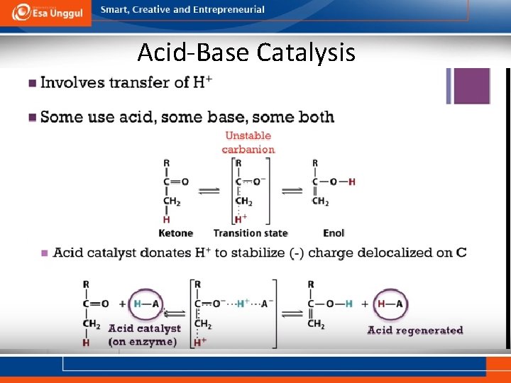 Acid-Base Catalysis 