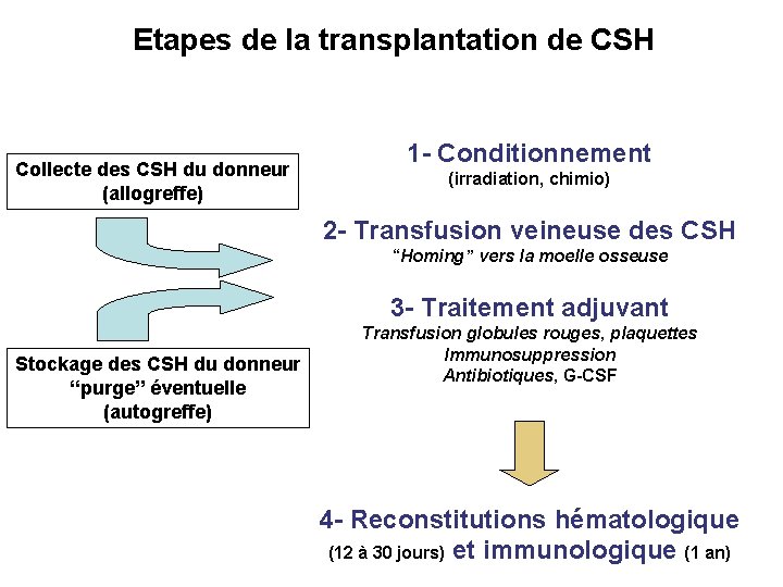 Etapes de la transplantation de CSH Collecte des CSH du donneur (allogreffe) 1 -