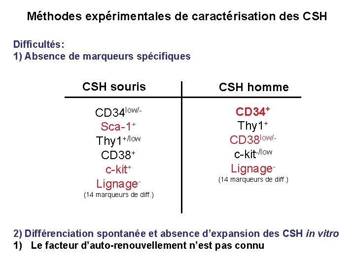 Méthodes expérimentales de caractérisation des CSH Difficultés: 1) Absence de marqueurs spécifiques CSH souris