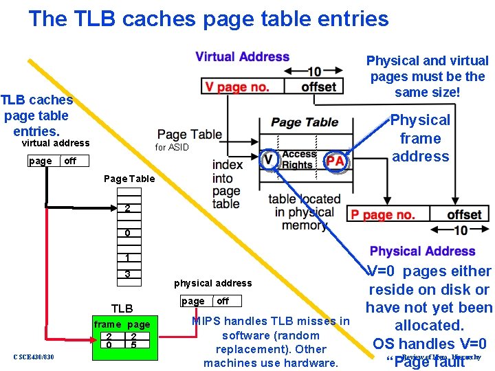 The TLB caches page table entries Physical and virtual pages must be the same