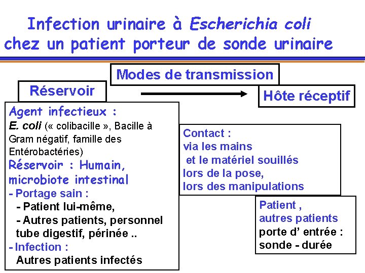 Infection urinaire à Escherichia coli chez un patient porteur de sonde urinaire Modes de