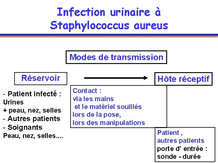 Infection urinaire à Staphylococcus aureus Modes de transmission Réservoir - Patient infecté : Urines