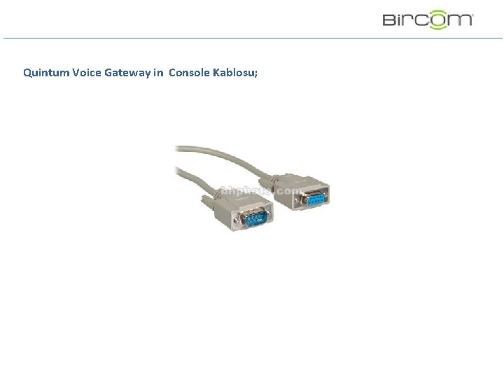 Quintum Voice Gateway in Console Kablosu; Quintum Voice Gateway in Console Kablosu;