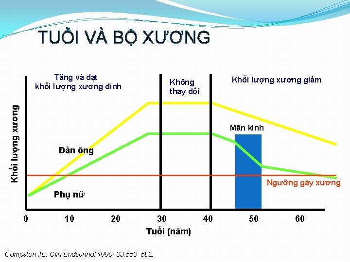 TUỔI VÀ BỘ XƯƠNG Khối lượng xương Tăng và đạt khối lượng xương đỉnh