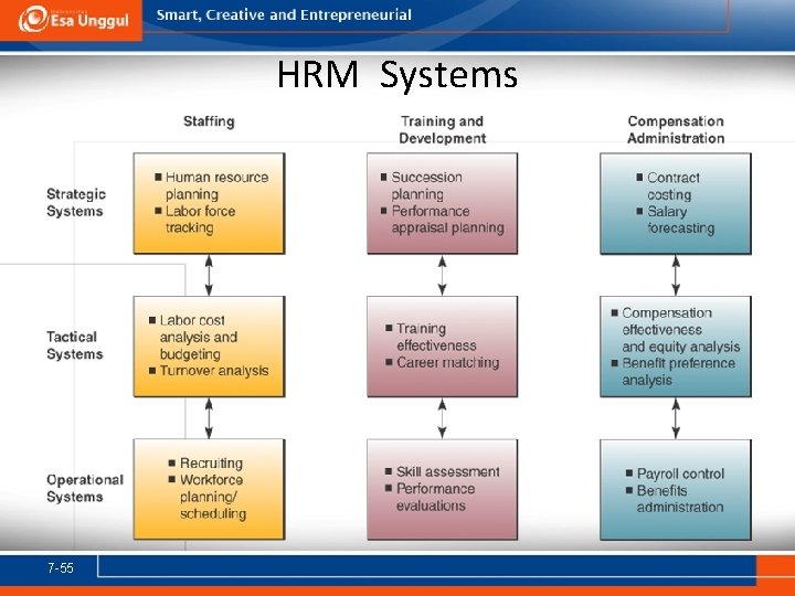 HRM Systems 7 -55 