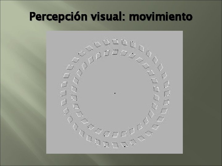 Percepción visual: movimiento Percepción visual: movimiento