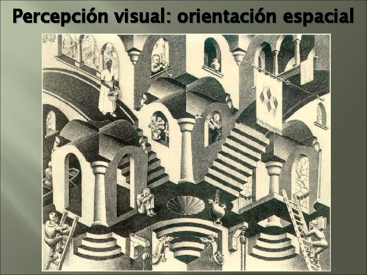 Percepción visual: orientación espacial Percepción visual: orientación espacial