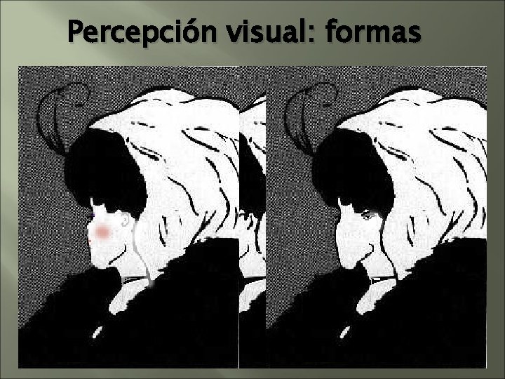 Percepción visual: formas Percepción visual: formas