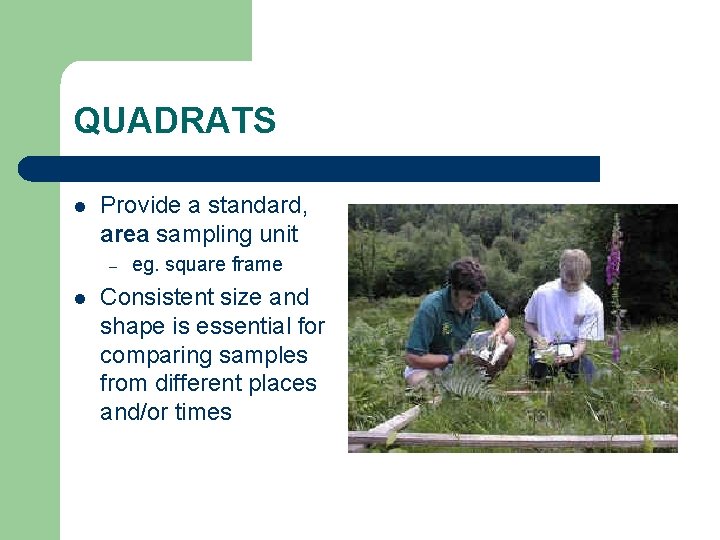 QUADRATS l Provide a standard, area sampling unit – l eg. square frame Consistent