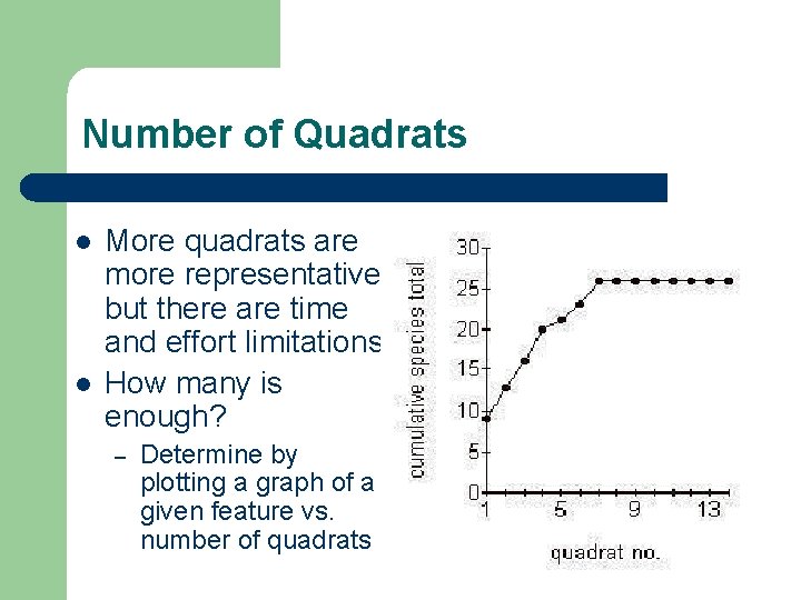 Number of Quadrats l l More quadrats are more representative but there are time