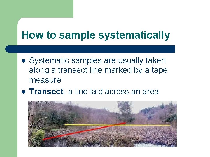 How to sample systematically l l Systematic samples are usually taken along a transect