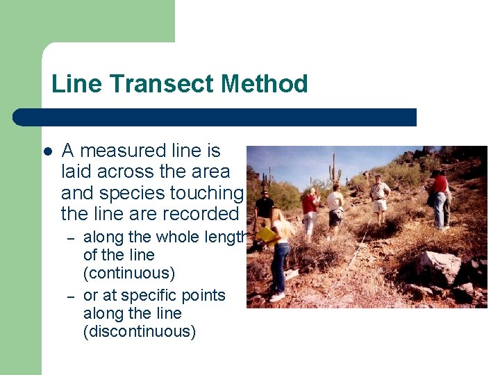 Line Transect Method l A measured line is laid across the area and species