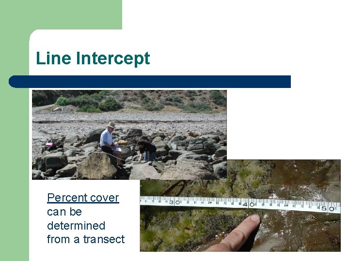 Line Intercept Percent cover can be determined from a transect 