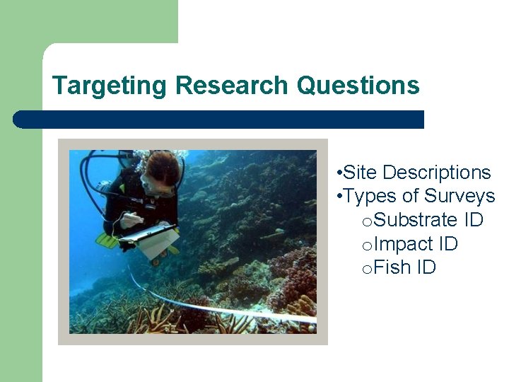 Targeting Research Questions • Site Descriptions • Types of Surveys o. Substrate ID o.