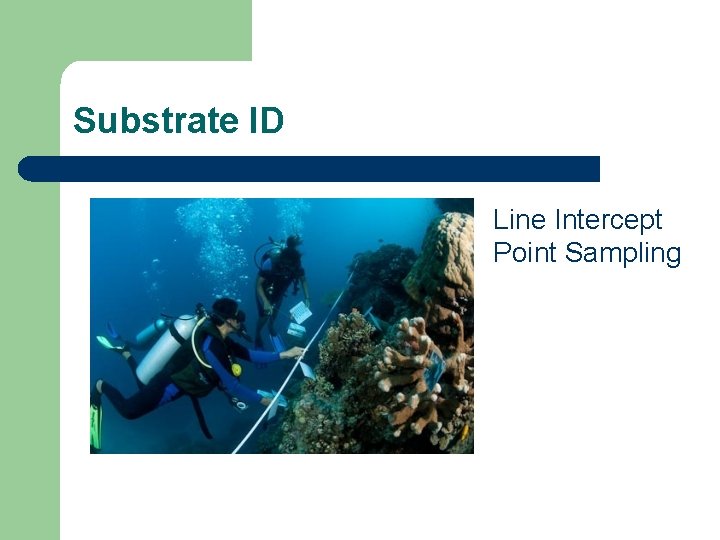 Substrate ID Line Intercept Point Sampling 
