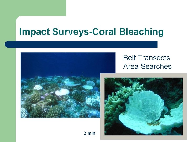 Impact Surveys-Coral Bleaching Belt Transects Area Searches 3 min 