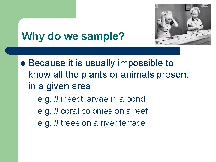Why do we sample? l Because it is usually impossible to know all the
