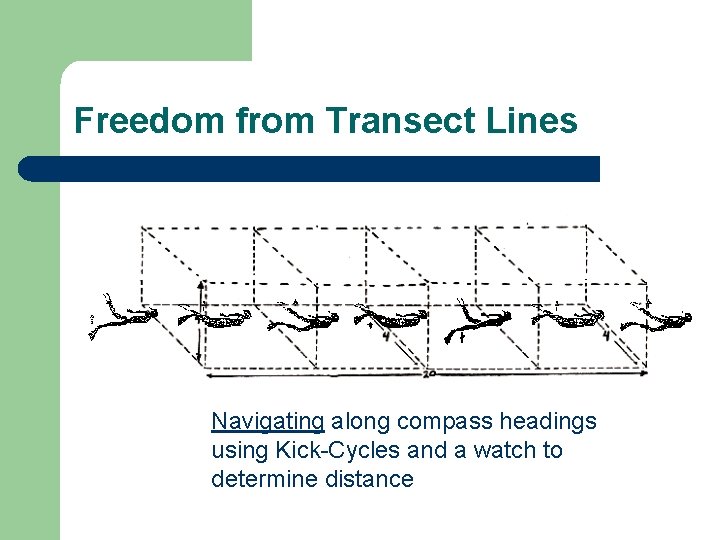Freedom from Transect Lines Navigating along compass headings using Kick-Cycles and a watch to