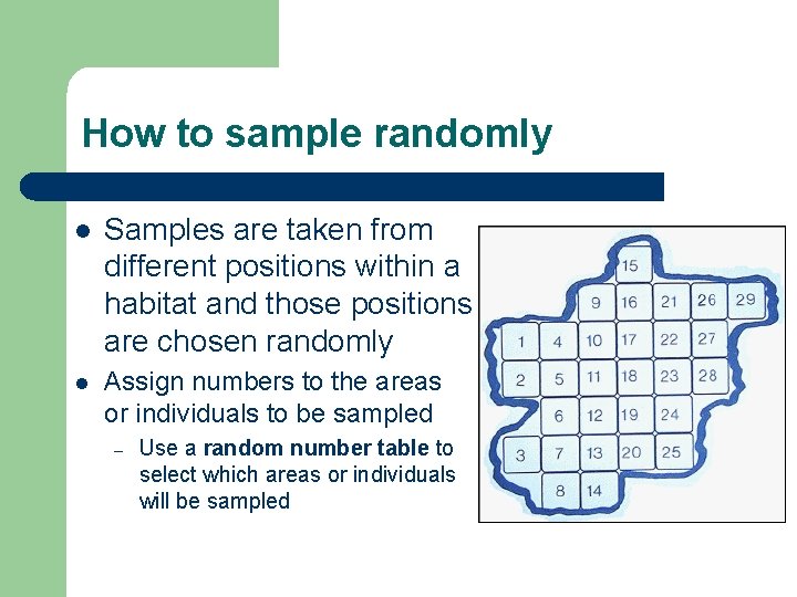How to sample randomly l Samples are taken from different positions within a habitat
