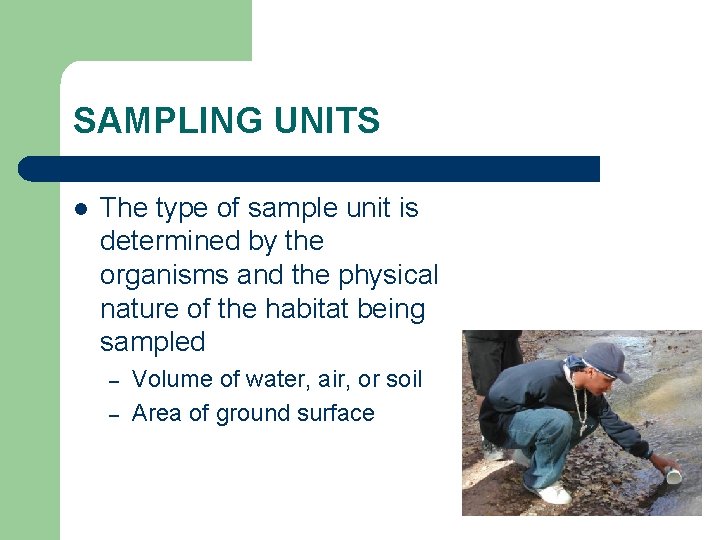 SAMPLING UNITS l The type of sample unit is determined by the organisms and