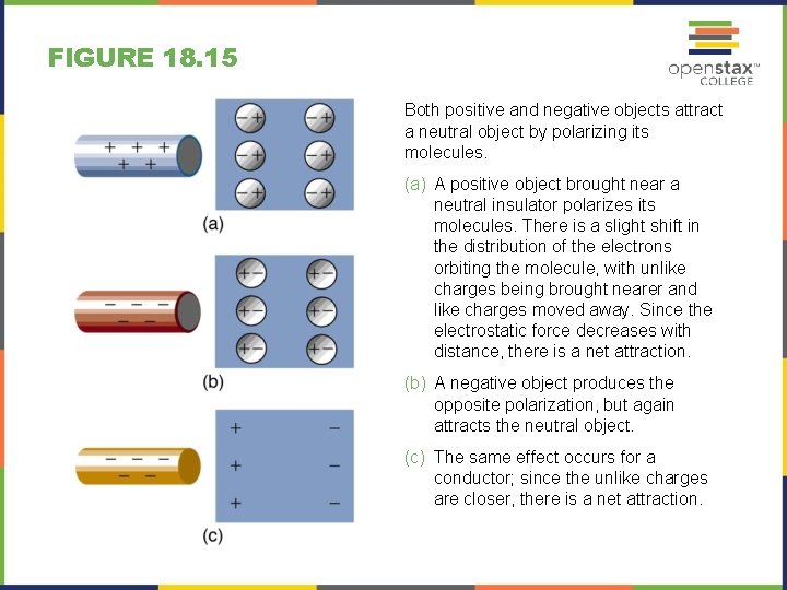 FIGURE 18. 15 Both positive and negative objects attract a neutral object by polarizing