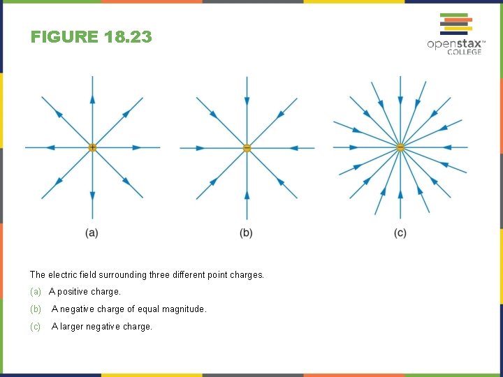 FIGURE 18. 23 The electric field surrounding three different point charges. (a) A positive