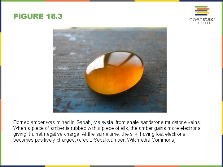 FIGURE 18. 3 Borneo amber was mined in Sabah, Malaysia, from shale-sandstone-mudstone veins. When