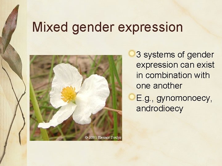 Mixed gender expression 3 systems of gender expression can exist in combination with one