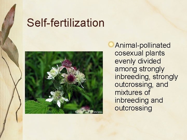 Self-fertilization Animal-pollinated cosexual plants evenly divided among strongly inbreeding, strongly outcrossing, and mixtures of Self-fertilization Animal-pollinated cosexual plants evenly divided among strongly inbreeding, strongly outcrossing, and mixtures of