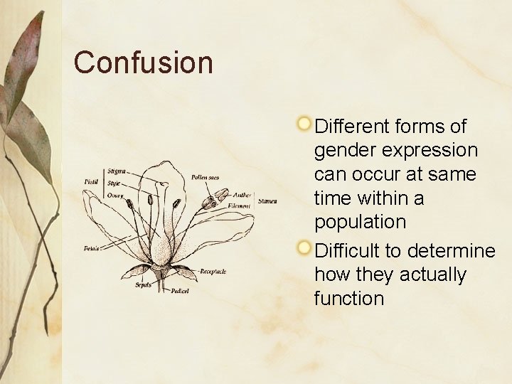 Confusion Different forms of gender expression can occur at same time within a population Confusion Different forms of gender expression can occur at same time within a population