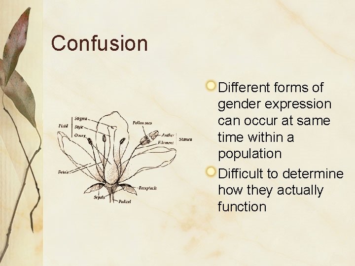 Confusion Different forms of gender expression can occur at same time within a population