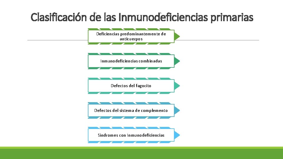 Clasificación de las Inmunodeficiencias primarias Deficiencias predominantemente de anticuerpos Inmunodeficiencias combinadas Defectos del fagocito