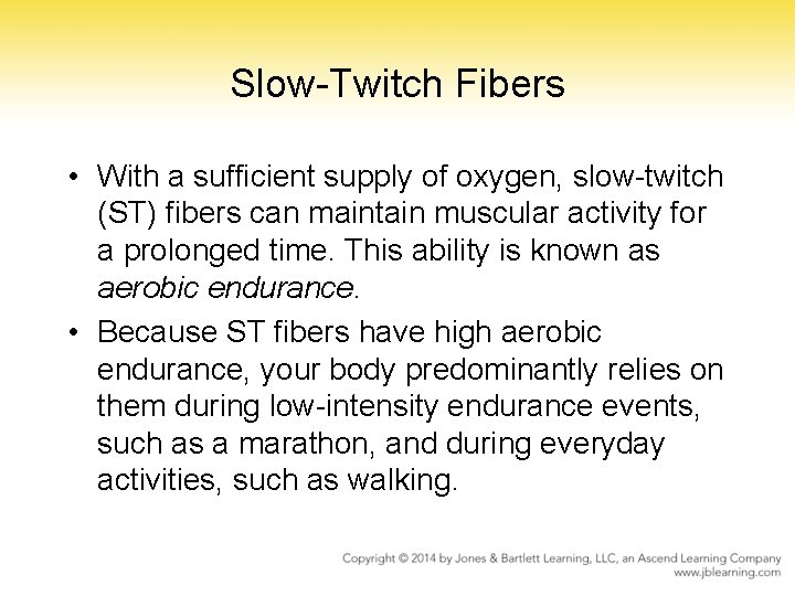 Slow-Twitch Fibers • With a sufficient supply of oxygen, slow-twitch (ST) fibers can maintain