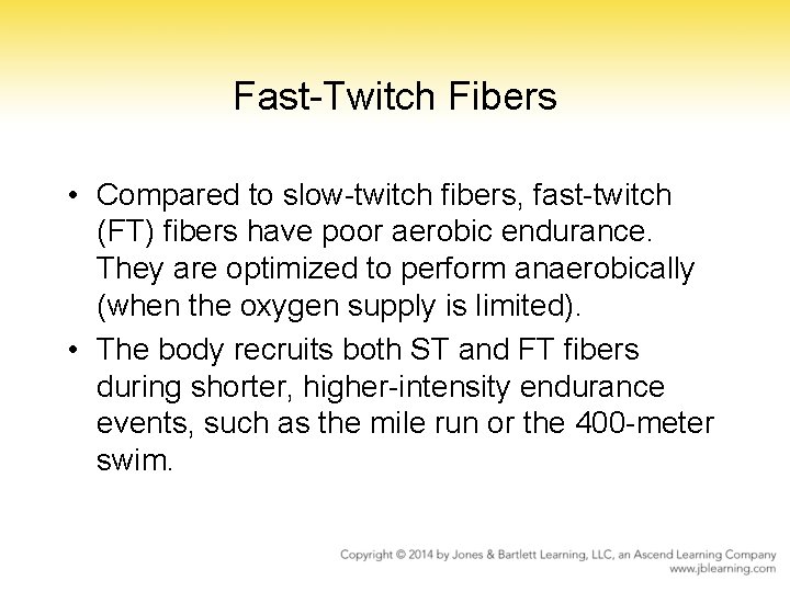 Fast-Twitch Fibers • Compared to slow-twitch fibers, fast-twitch (FT) fibers have poor aerobic endurance.