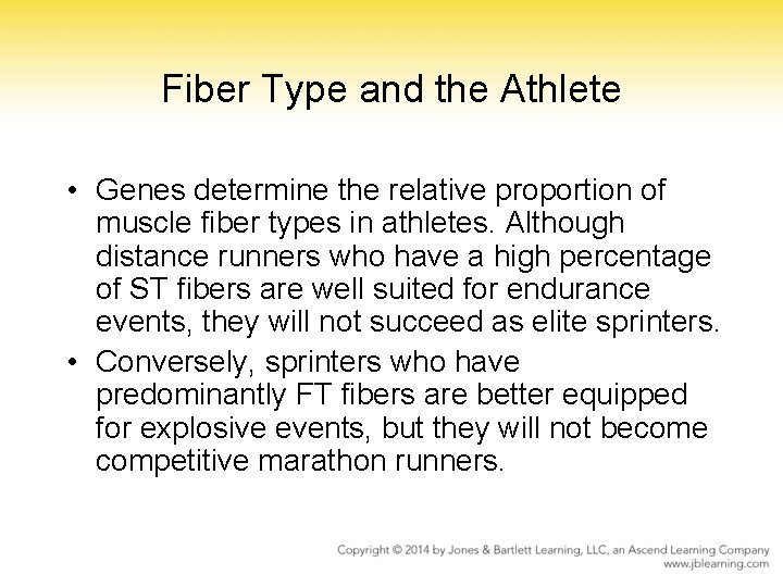 Fiber Type and the Athlete • Genes determine the relative proportion of muscle fiber