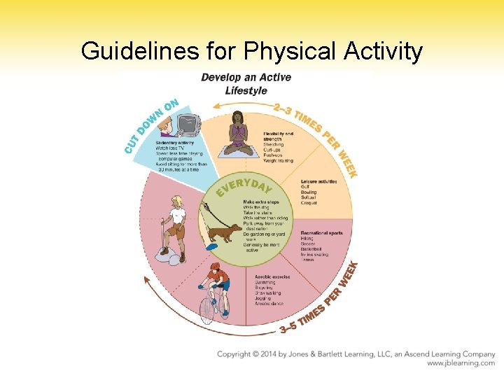 Guidelines for Physical Activity 