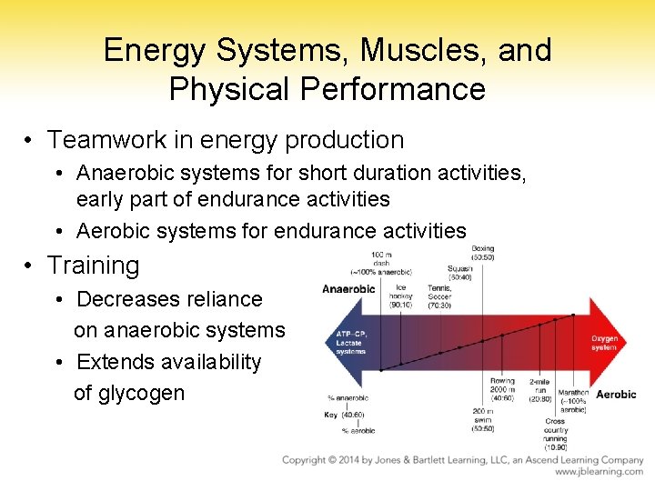 Energy Systems, Muscles, and Physical Performance • Teamwork in energy production • Anaerobic systems