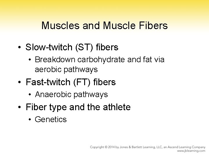 Muscles and Muscle Fibers • Slow-twitch (ST) fibers • Breakdown carbohydrate and fat via