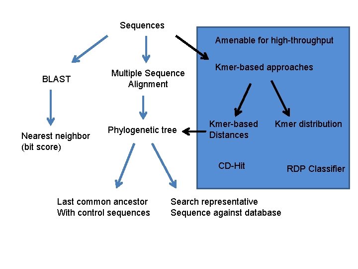 Sequences Amenable for high-throughput BLAST Nearest neighbor (bit score) Multiple Sequence Alignment Phylogenetic tree Sequences Amenable for high-throughput BLAST Nearest neighbor (bit score) Multiple Sequence Alignment Phylogenetic tree