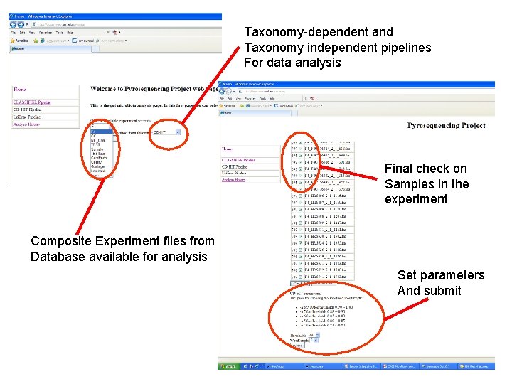 Taxonomy-dependent and Taxonomy independent pipelines For data analysis Final check on Samples in the Taxonomy-dependent and Taxonomy independent pipelines For data analysis Final check on Samples in the