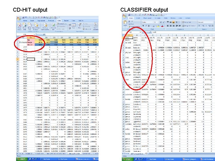 CD-HIT output CLASSIFIER output CD-HIT output CLASSIFIER output