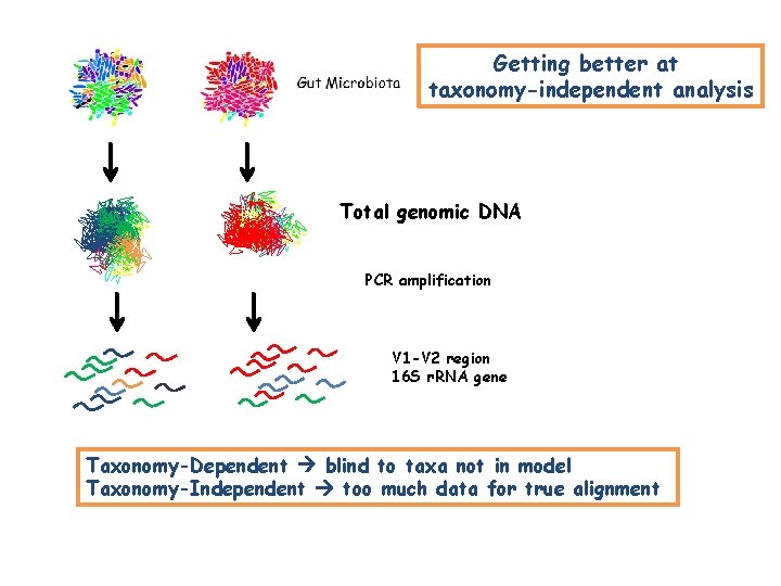 Getting better at taxonomy-independent analysis Total genomic DNA PCR amplification V 1 -V 2 Getting better at taxonomy-independent analysis Total genomic DNA PCR amplification V 1 -V 2