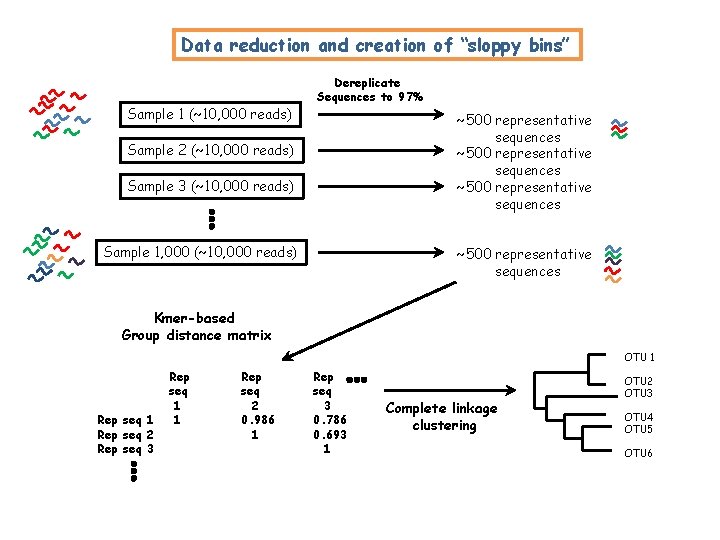 Data reduction and creation of “sloppy bins” Sample 1 (~10, 000 reads) Dereplicate Sequences Data reduction and creation of “sloppy bins” Sample 1 (~10, 000 reads) Dereplicate Sequences