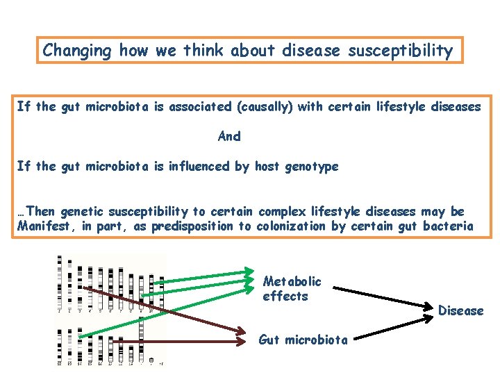 Changing how we think about disease susceptibility If the gut microbiota is associated (causally) Changing how we think about disease susceptibility If the gut microbiota is associated (causally)